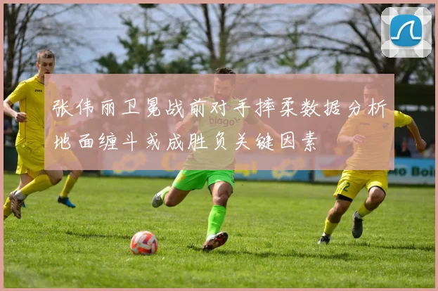 张伟丽卫冕战前对手摔柔数据分析地面缠斗或成胜负关键因素
