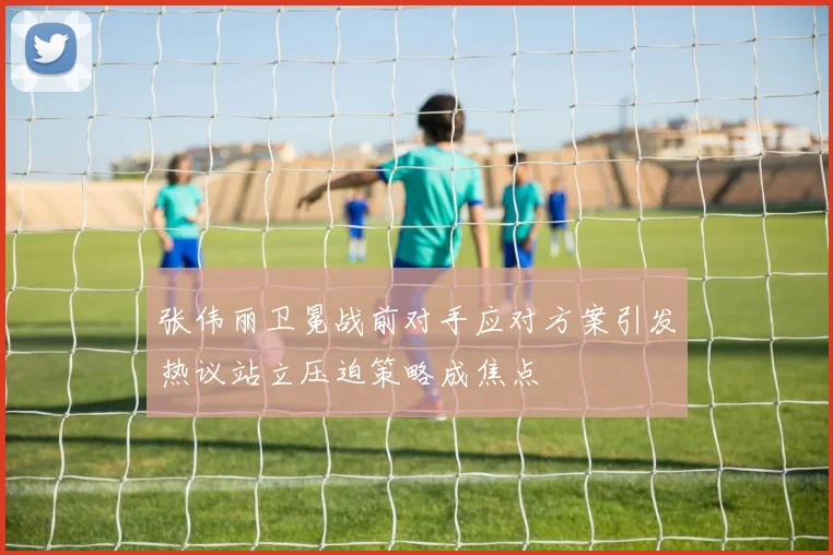 张伟丽卫冕战前对手应对方案引发热议站立压迫策略成焦点
