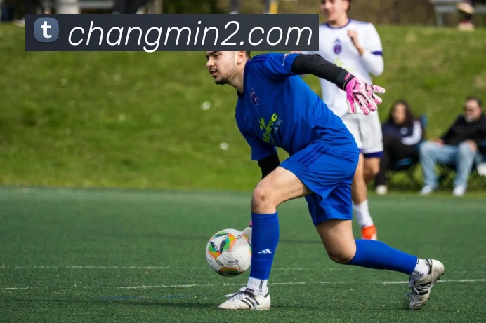 未来规划